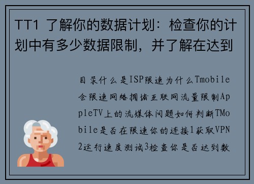 TT1 了解你的数据计划：检查你的计划中有多少数据限制，并了解在达到限制后会发生什