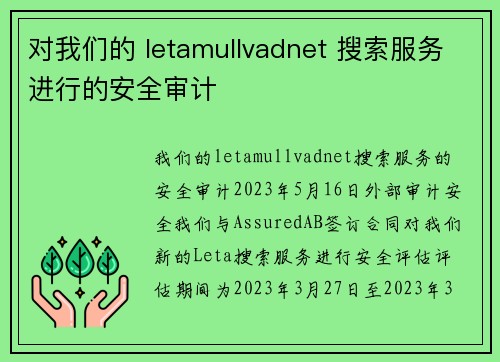 对我们的 letamullvadnet 搜索服务进行的安全审计 